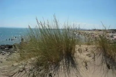 Image de Mer et piscine dans le parc naturel 2