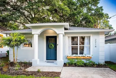 Image de The Flamenco Summary: