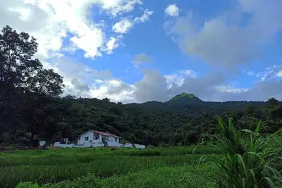 3bhk Farm home stay  surrounded by pristine nature in The majestic Western Ghats