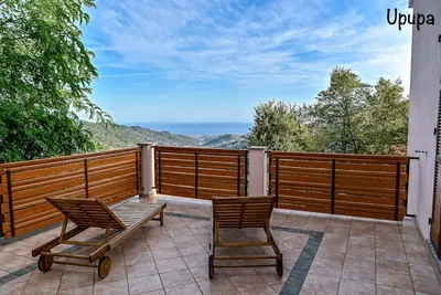 Image de Upupa - A terrace on the Gulf
