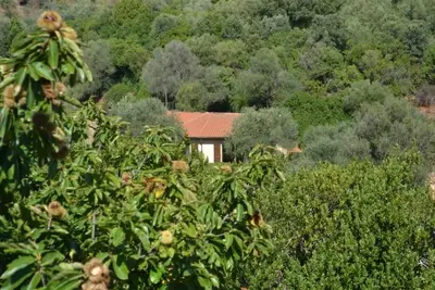 Image de Nestled in greenery