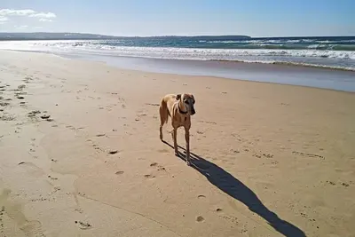 Image de Beachcomber: Unit 3 (Upstairs)