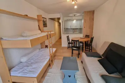 Image de À 300m des pistes de ski, 4ème étage, balcon, télévision, casier à ski, 38m², Les 2 Alpes