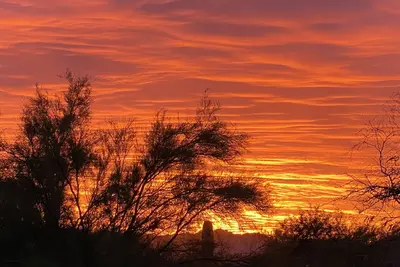 Image de Desert Dwellers, Mountain Views, House, Gated La Paloma, close to U of A