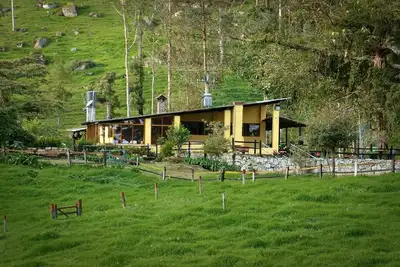 Image de Pet-friendly cottage for groups with fireplace and forests