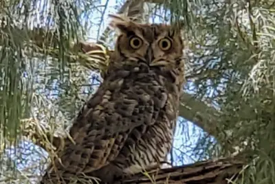 Image de Cozy Casita