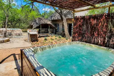 Image de Elephant's Hide