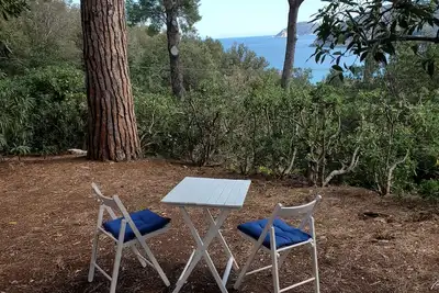 Image de Olive house
