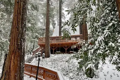 Image de Micro Cabin | 1Bed + Loft