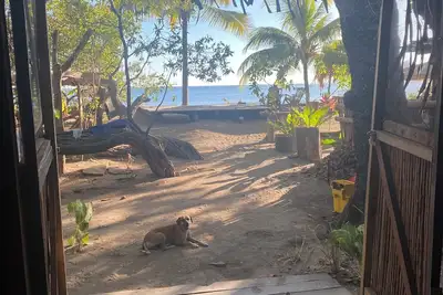 Image de Bamboo Beach Bungalow