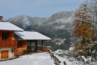 Chalet Le Cochon Noir independant chalet 3km de Morillon telecabine, belle vue