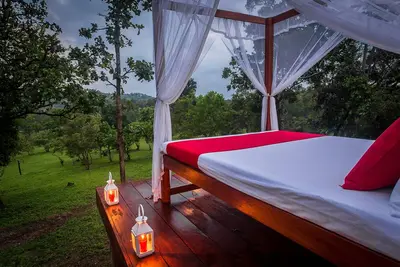 Image de Mountain Top Glamping Star Beds & Bush Bathtubs