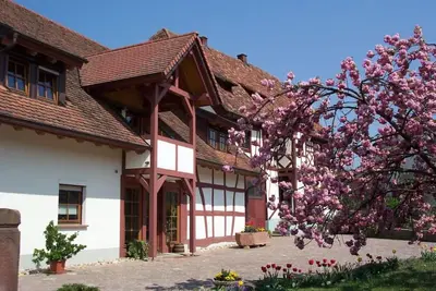 Image de Vacation apartment with 50 square meters - at Gästehaus Kunz in Rust