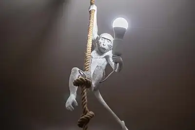 Image de Cozy and renovated ground floor apartment connected