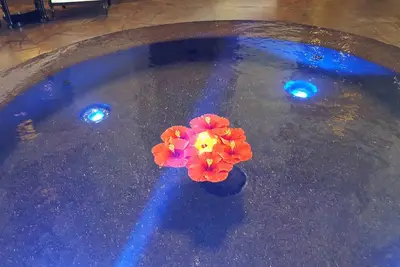 Image de Junior Suite partial pool view