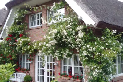 Image de Exclusive 5-star vacation home under thatch - directly near Binz