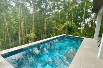 Image de New pool-Jungle-5 min to Uvita-shopping-Beaches.