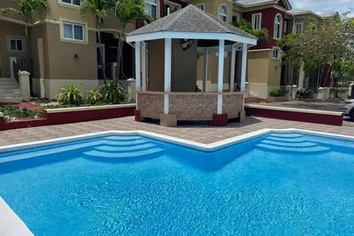 Image de Blossoms Of Orchids