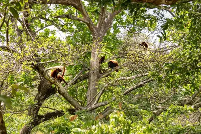 Image de Cabin with pool near the Pnn Tayrona