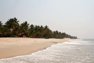 Image de Rainforest Tour in Belize! Seafront Villa with Kitchen! Pool, Spa, Free Parking!