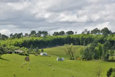 Image de Chalet   avec jardin au milieu de la nature