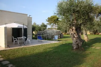 Image de sea and olive trees holiday home 2