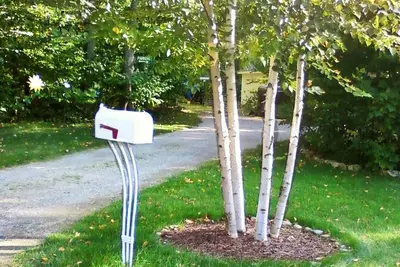 Image de Harbor Springs Cottage In The Woods