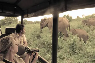 Gamping in Style bordering Udawalawe National park