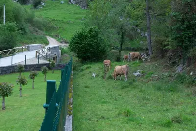 Image de The Prau the Church, Green House