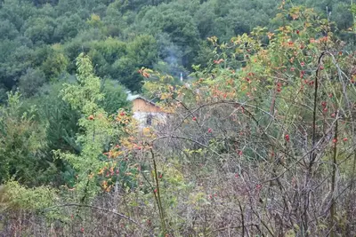 Image de Cottage in the Rhodope mountain