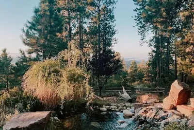 Image de Mountain Bungalow