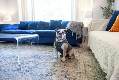 Image de Mdrn Kid-Friendly Apt|Charming|Private|Sunny|Fast Wi-Fi| Parking