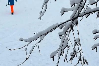 Image de Ski-In Out Gem! -3 Br 3 Ba Top floor Duplex. 2 mins Walk2Village.