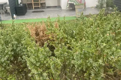 Image de Calm sea/mountain apartment near Spain, Biarritz and Cape Breton