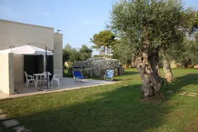Image de Vacation home sea and olive trees 3