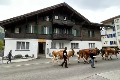 Image de Large cozy apartment in center Lenk