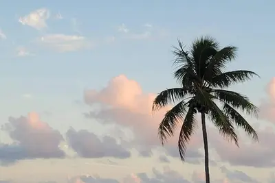 Image de Sunny Tavernier Key Cottage!