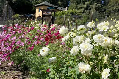Image de Monterey Bay Farm Retreat! Best access to Monterey & Santa Cruz attractions.