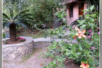 Stunning 2-Bedrooms private Cottage in Palaiochora