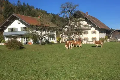 Image de Cozy vacation apartment with a unique view of the mountains