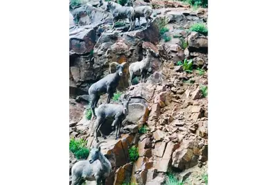 Image de Peak View Log Home