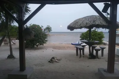 Image de True beachfront apartment at ground level
