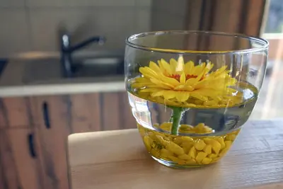 Image de Cottage made from wood, great views