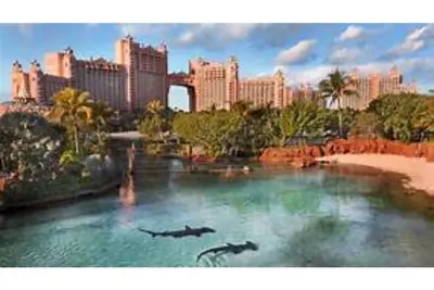 Image de A Beautiful 1 Bedroom Apartment at Harborside Resort