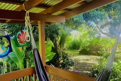 Image de Modern Jungle Cottage