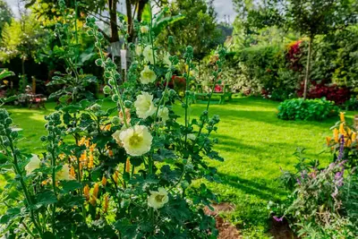 Image de Very quiet Retreat outside city pollution/pet friendly
