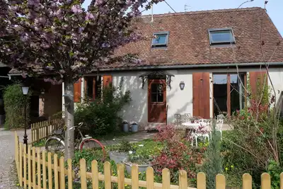 Image de Un bouquet sur un toit