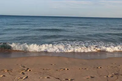 Image de Detached villa 50m. from the sea