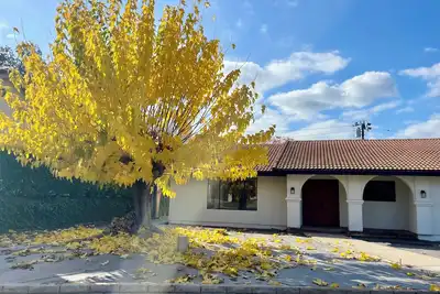 Image de Organic Soulful Ojai Oasis - newly renovated