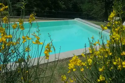 Image de Holidays in total relaxation in a property surrounded by greenery with swimming pool